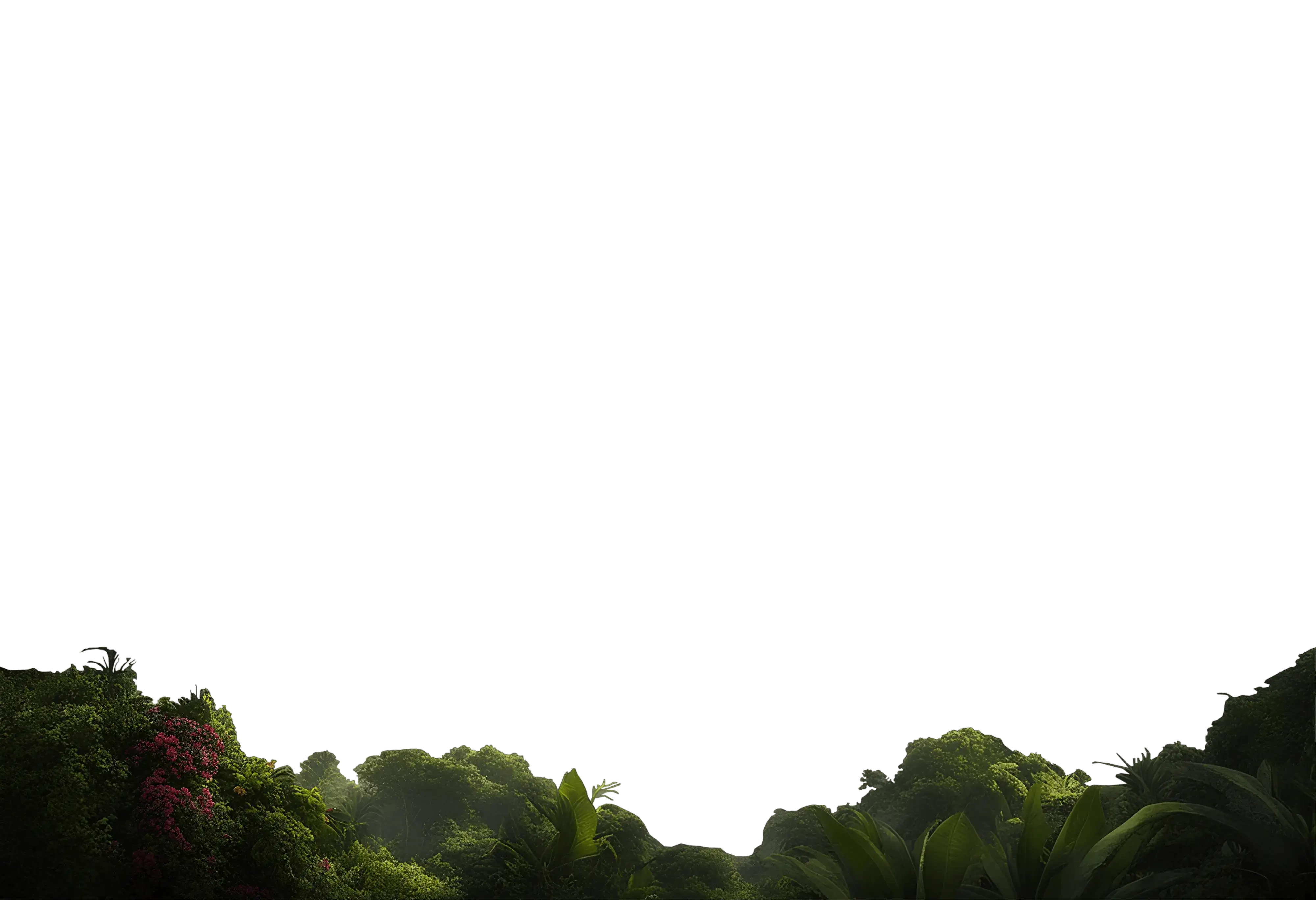 feuille bas parallax